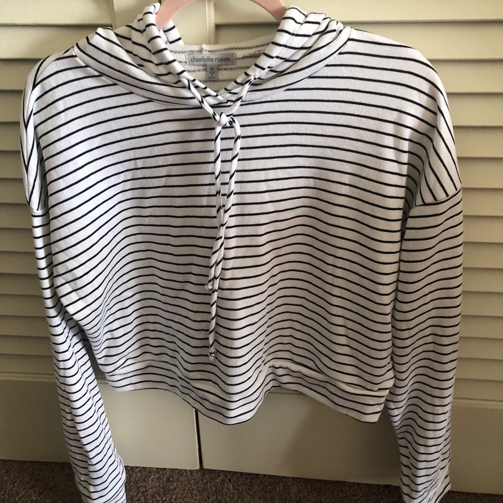 Charlotte Russe cropped sweater